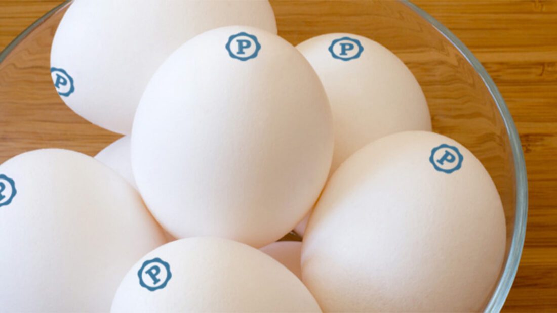 Pasteurized shell eggs in bowl with blue “P” stamp for foodservice kitchen safety